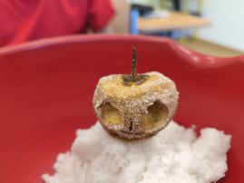 Fotografie img-20260121-1137021_original.jpg