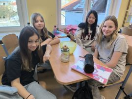 Fotografie img-20260121-1137551_original.jpg