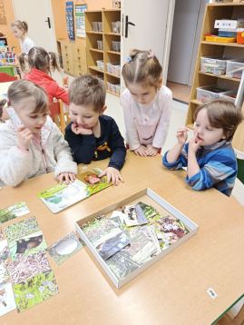 Fotografie img-20260128-083505_original.jpg