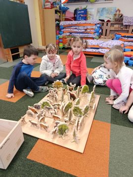 Fotografie img-20260128-085810_original.jpg