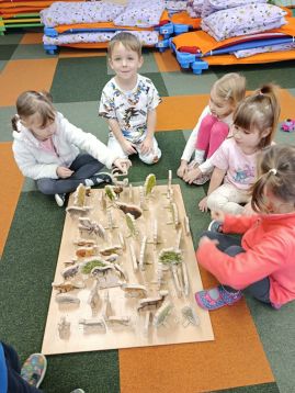 Fotografie img-20260128-085829_original.jpg