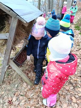 Fotografie img-20260128-101835_original.jpg