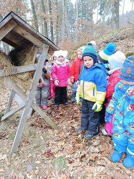 Fotografie img-20260128-101903_original.jpg