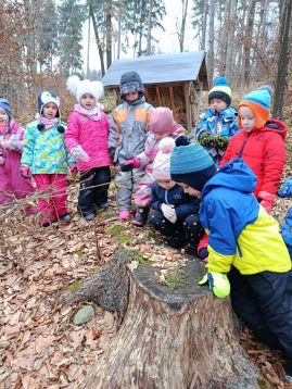 Fotografie img-20260128-102217_1_original.jpg