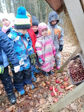 Fotografie img-20260128-102307_original.jpg