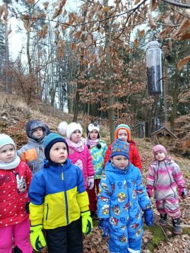 Fotografie img-20260128-102354_original.jpg