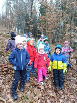 Fotografie img-20260128-102510_original.jpg