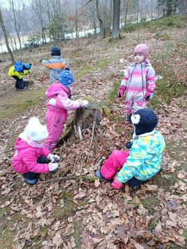 Fotografie img-20260128-103057_original.jpg