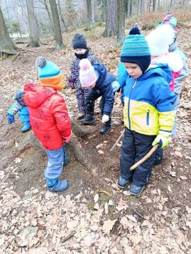 Fotografie img-20260128-103144_original.jpg