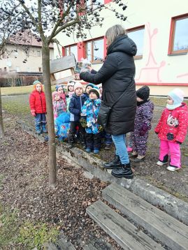 Fotografie img-20260128-111323_original.jpg