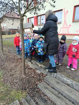 Fotografie img-20260128-111328_original.jpg