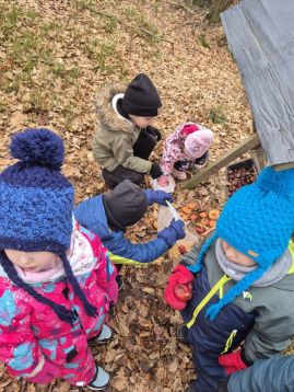 Fotografie img-20260202-wa0009_original.jpg