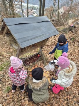 Fotografie img-20260202-wa0011_original.jpg