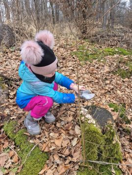 Fotografie img-20260202-wa0012_original.jpg