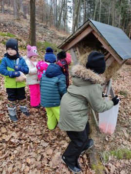 Fotografie img-20260204-165106_original.jpg