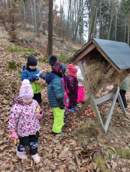 Fotografie img-20260204-165114_original.jpg