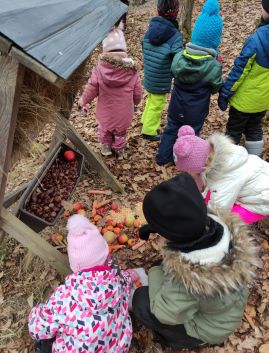 Fotografie img-20260204-165142_original.jpg