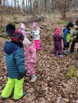 Fotografie img-20260204-165214_original.jpg