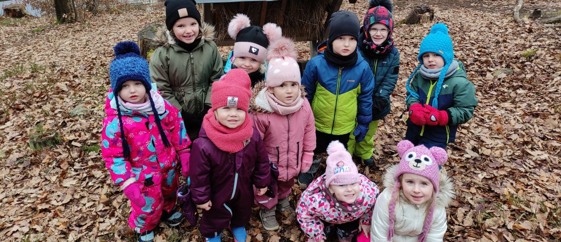 Zvířátka a ptáčci v zimě 