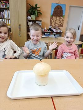 Fotografie img-20260205-094905_original.jpg