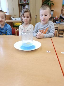 Fotografie img-20260205-095517_original.jpg