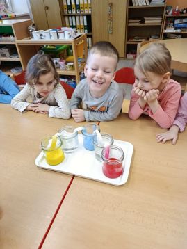 Fotografie img-20260205-101727_original.jpg