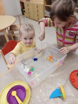 Fotografie img-20260208-wa0007_original.jpg