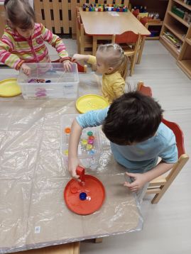 Fotografie img-20260208-wa0011_original.jpg