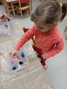 Fotografie img-20260208-wa0012_original.jpg