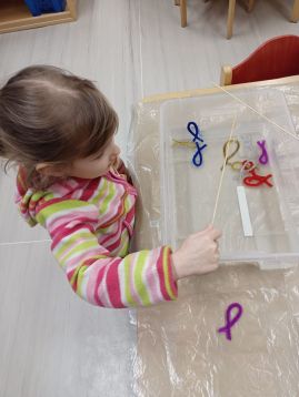 Fotografie img-20260208-wa0013_original.jpg