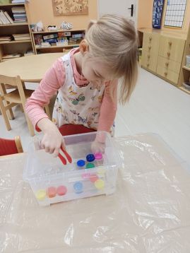 Fotografie img-20260208-wa0014_original.jpg