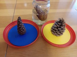 Fotografie img-20260208-wa0015_original.jpg