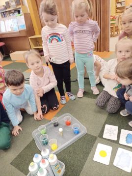 Fotografie img-20260208-wa0022_original.jpg