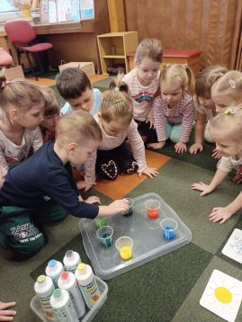 Fotografie img-20260208-wa0024_2_original.jpg