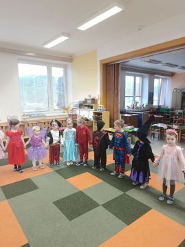 Fotografie img-20260211-091831_1_original.jpg