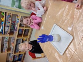 Fotografie img-20260202-092515_original.jpg