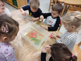 Fotografie img-20260203-092125_original.jpg