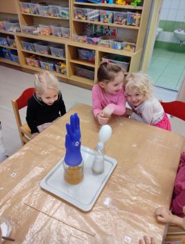 Fotografie img-20260212-121751_original.jpg