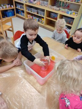 Fotografie img-20260212-121918_original.jpg