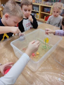 Fotografie img-20260212-122215_original.jpg