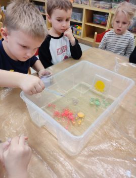 Fotografie img-20260212-122227_original.jpg