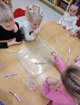 Fotografie img-20260212-122343_original.jpg