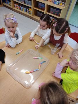 Fotografie img-20260212-122417_original.jpg