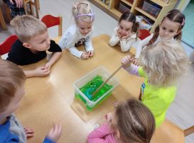 Fotografie img-20260212-122604_original.jpg