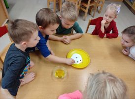 Fotografie img-20260214-160013_original.jpg