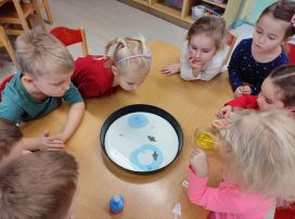 Fotografie img-20260214-160233_original.jpg