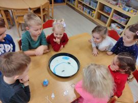 Fotografie img-20260214-160251_original.jpg