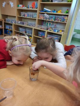 Fotografie img-20260214-160444_original.jpg