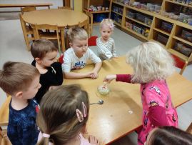 Fotografie img-20260214-160905_original.jpg