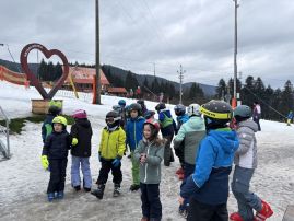 Fotografie img-9341_original.jpeg